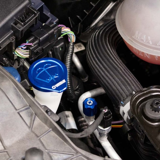 A/C Line Cap Kit - Ford R134A and R1234yf